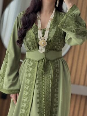 Elegant green embroidered dress with traditional design for special occasions.